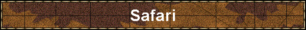 Safari