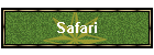 Safari